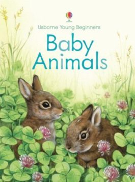 Young Beginners Baby Animals