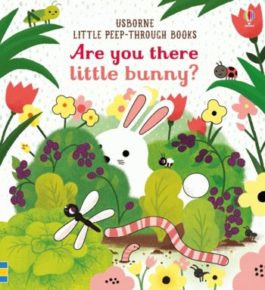 Little Peep-through Books: Are You There Little Bunny?