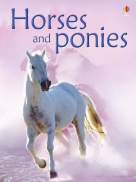 Beginners Horses & Ponies