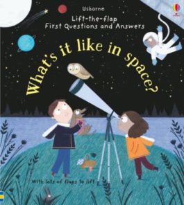 Lift-the-Flap First Questions and Answers about Space
