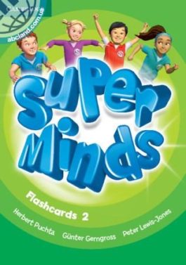 Super Minds 2 Flashcards
