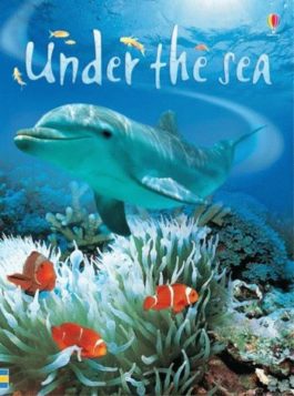 Beginners Under the Sea