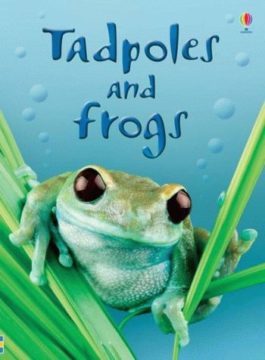 Beginners Tadpoles & Frogs